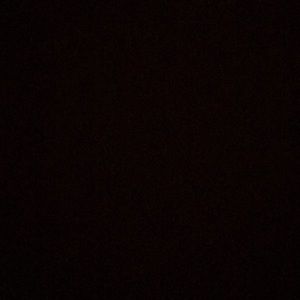 Meet your Posher, Zane